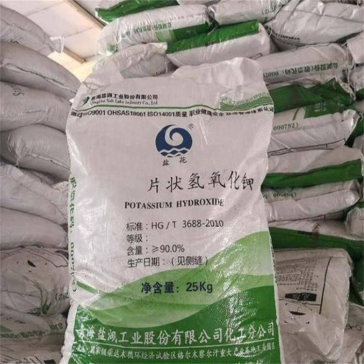 老骚逼网站